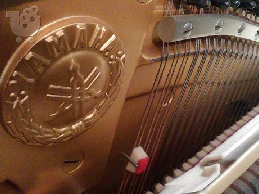 Yamaha U3H - Θεσσαλονίκη / Πεύκα